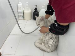 -美联众合24小时·皮肤科·外科·全科诊疗中心(华苑分院)