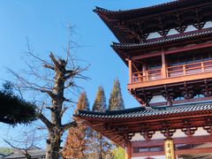 -径山寺