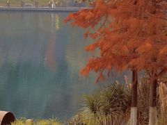 -重庆彩云湖湿地公园