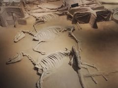 -洛阳周王城天子驾六博物馆