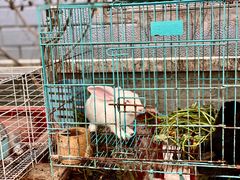 -宁波市青少年绿色学校