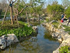 -上海滨江森林公园