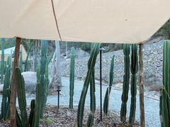 -MOJ coffee(瓯海泽雅水碓坑店)