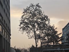 -陕西省人民医院(主院区)