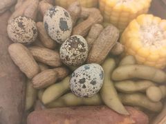 -新君悦国际酒店