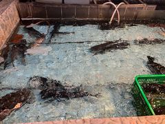 -鱼窝棚柴火铁锅炖(富山屯店)