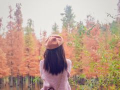 -白鹭湾湿地公园