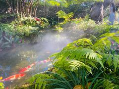 -Chom Cafe and Restaurant