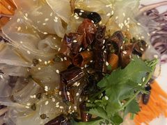 -客临百思德·东北特色馆(龙湖时代天街店)