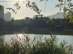 -四海公园(南山区)