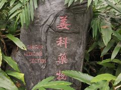 -广西壮族自治区药用植物园
