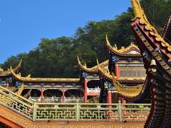-东莞市大岭山森林公园