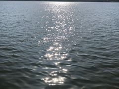 -济南国际园博园