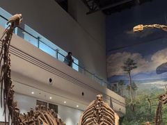 -自贡恐龙博物馆