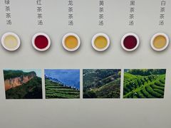 -中国茶叶博物馆(双峰馆区)