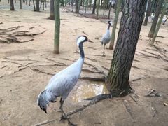 -鄱阳湖国家湿地公园