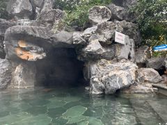 -苏州湾·王焰温泉