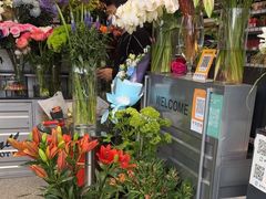 -FEI FEI FLOWER鲜花店·气球派对·宝宝宴布置(虹口德必运动Loft店)