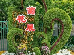 -上海共青森林公园