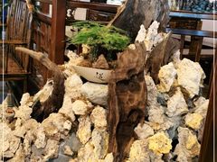 -庭院小酌(瑞莲街店)