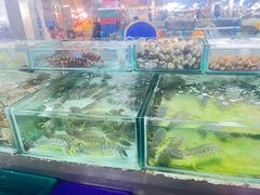 -拉威海鲜市场