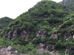 -六里坪国家森林公园