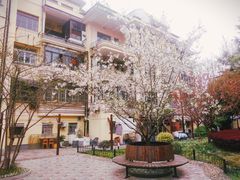 -曼曼汤包(建国西路店)