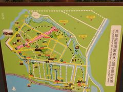 -合肥滨湖国家森林公园