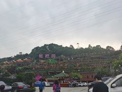 -枇杷园食为鲜火锅(南山店)