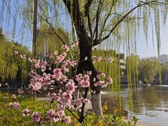 -西安市长乐公园
