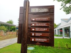 -田园东方蜜桃村的田野营地