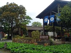 -田园东方蜜桃村的田野营地