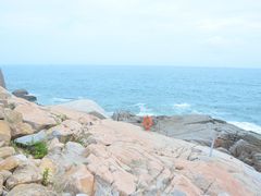 -广东惠东海龟国家级自然保护区