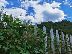 -白河湾生态旅游一条川