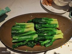 -避风塘(江桥万达店)