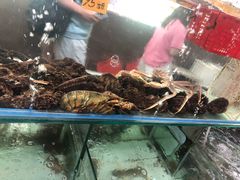 -寻味顺德·南记酒家·传统顺德菜·鱼生(广源路店)