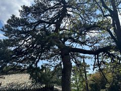 -潭柘寺景区