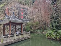 -水濂山森林公园