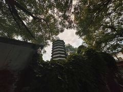 -万松老人塔