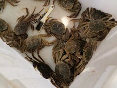 -乡乐园蟹庄·阳澄湖农家乐