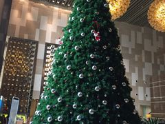 -天津君隆威斯汀酒店