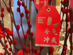 -丽美妍医疗美容·皮秒·立体分层抗衰