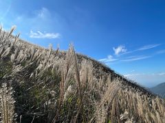 -黑池口感烘焙·生日蛋糕(坂田店)