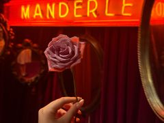 -MANDERLEY 曼德雷酒吧