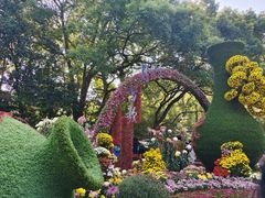 -杭州植物园