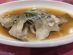 -蔡阿水羊肉店