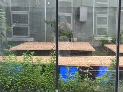 -成都中医药大学(温江校区)