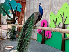 -康师傅私房牛肉面(马泉营奥莱店)