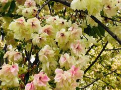 -江南大学(蠡湖校区)