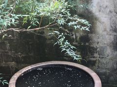 -宁波市保国寺古建筑博物馆